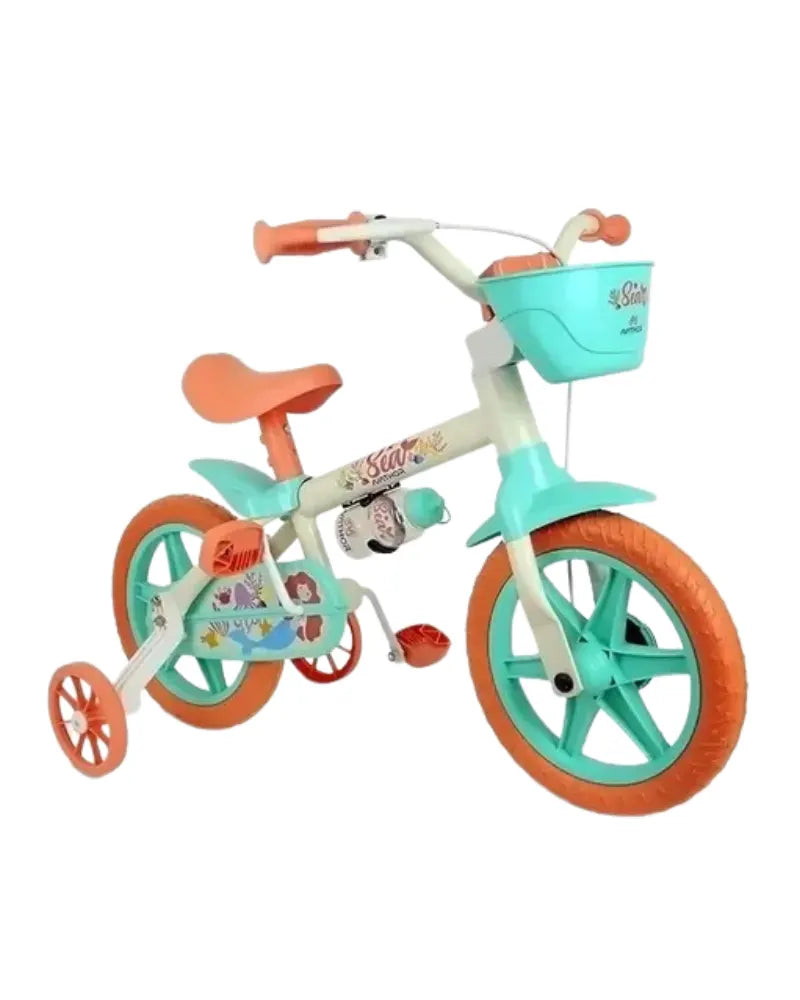 BICICLETA E TRICICLO