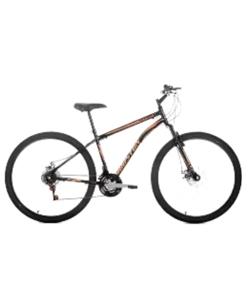 BICICLETA HOUSTON ARO29 NETUNO S C ADES