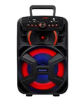 CAIXA AMPLIFICADA AMVOX ACA 221 GIGANTE II
